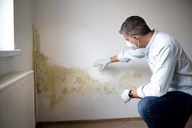 Mold Documentation for Insurance Claims in Waverly, VA